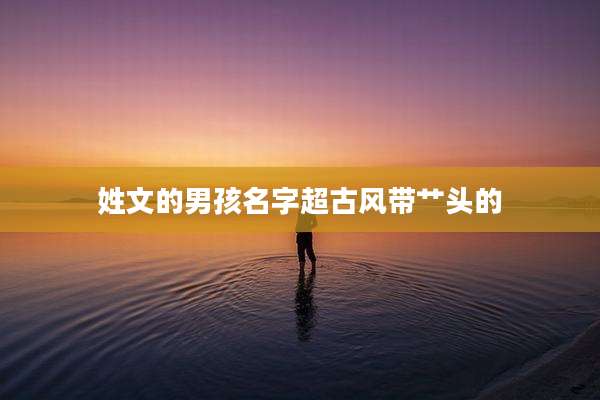姓文的男孩名字超古风带艹头的