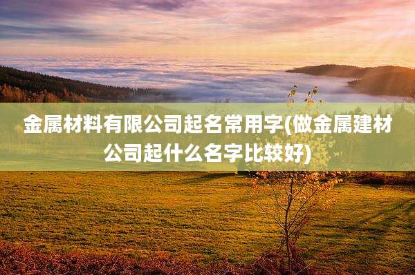 金属材料有限公司起名常用字(做金属建材公司起什么名字比较好)