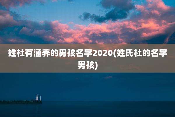 姓杜有涵养的男孩名字2020(姓氏杜的名字男孩)