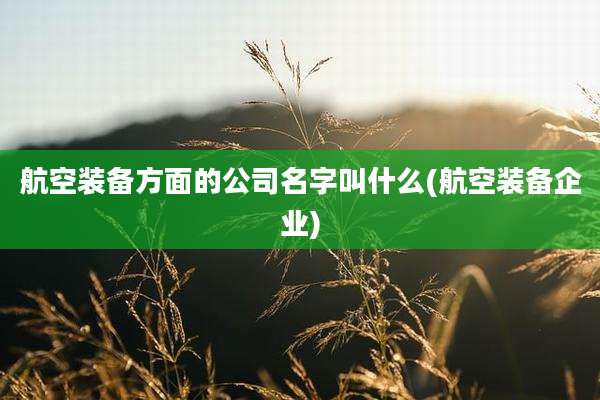 航空装备方面的公司名字叫什么(航空装备企业)