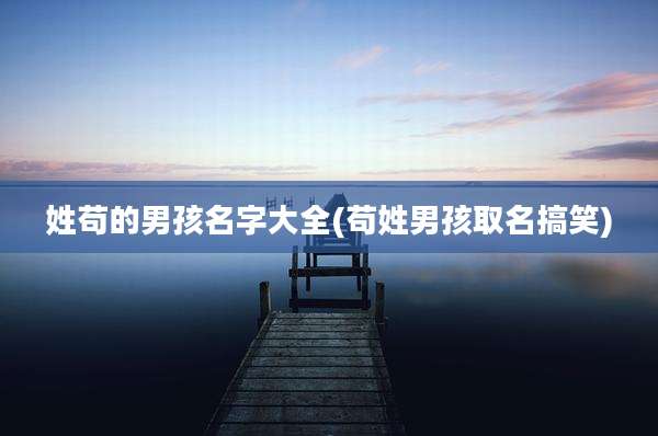 姓苟的男孩名字大全(苟姓男孩取名搞笑)