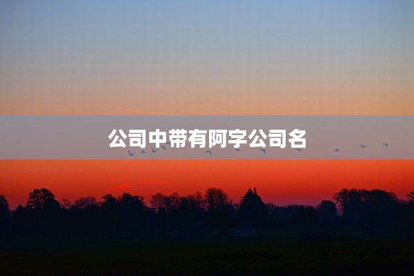 公司中带有阿字公司名