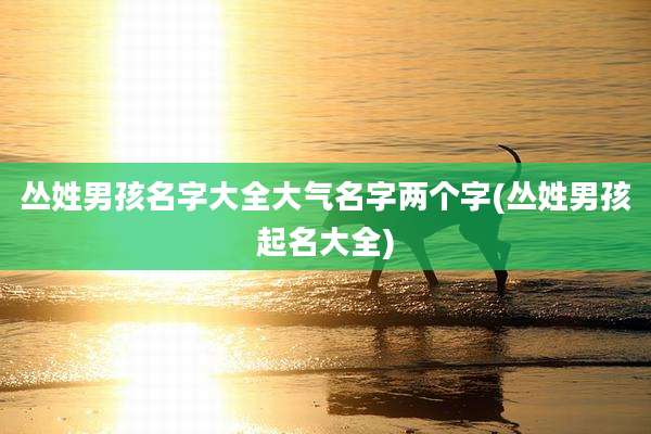 丛姓男孩名字大全大气名字两个字(丛姓男孩起名大全)