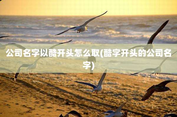 公司名字以酷开头怎么取(酷字开头的公司名字)