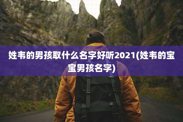 姓韦的男孩取什么名字好听2021(姓韦的宝宝男孩名字)