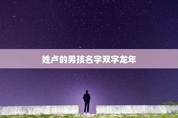 姓卢的男孩名字双字龙年