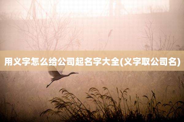 用义字怎么给公司起名字大全(义字取公司名)