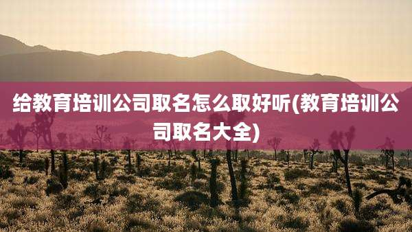 给教育培训公司取名怎么取好听(教育培训公司取名大全)