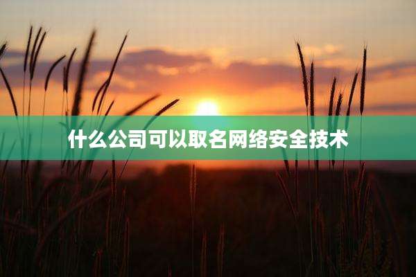 什么公司可以取名网络安全技术
