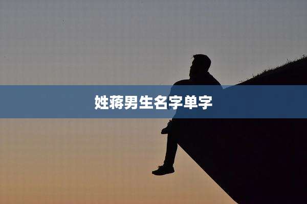 姓蒋男生名字单字