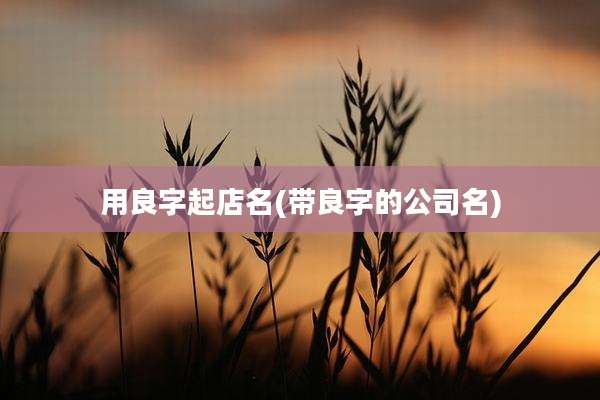 用良字起店名(带良字的公司名)