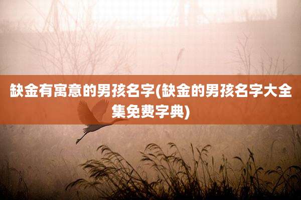 缺金有寓意的男孩名字(缺金的男孩名字大全集免费字典)