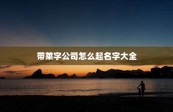带莱字公司怎么起名字大全