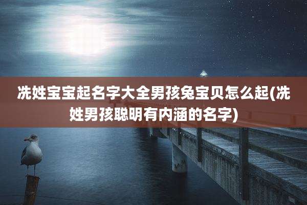 冼姓宝宝起名字大全男孩兔宝贝怎么起(冼姓男孩聪明有内涵的名字)