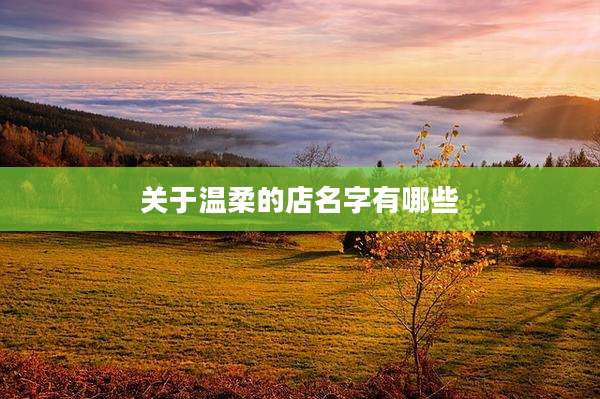 关于温柔的店名字有哪些