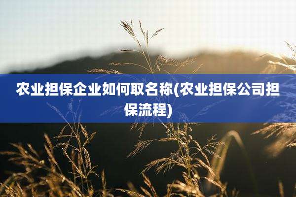 农业担保企业如何取名称(农业担保公司担保流程)