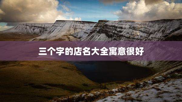 三个字的店名大全寓意很好