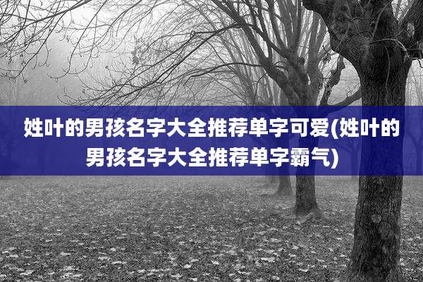 姓叶的男孩名字大全推荐单字可爱(姓叶的男孩名字大全推荐单字霸气)