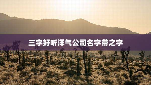 三字好听洋气公司名字带之字