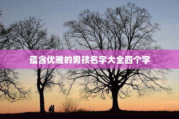 蕴含优雅的男孩名字大全四个字