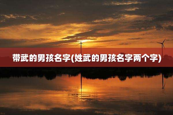 带武的男孩名字(姓武的男孩名字两个字)