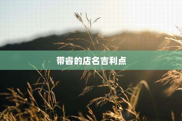 带睿的店名吉利点