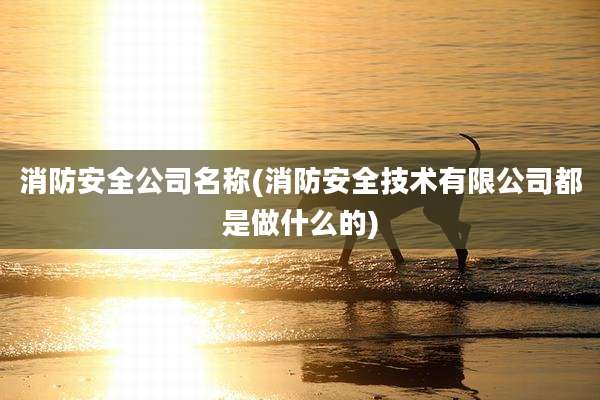 消防安全公司名称(消防安全技术有限公司都是做什么的)