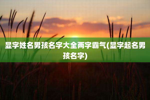显字姓名男孩名字大全两字霸气(显字起名男孩名字)