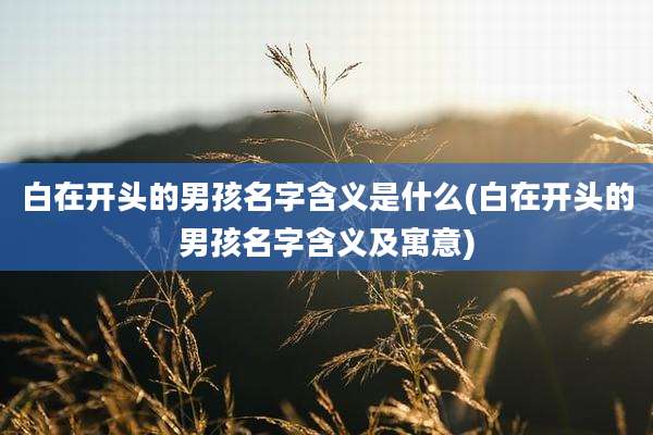 白在开头的男孩名字含义是什么(白在开头的男孩名字含义及寓意)