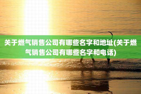 关于燃气销售公司有哪些名字和地址(关于燃气销售公司有哪些名字和电话)