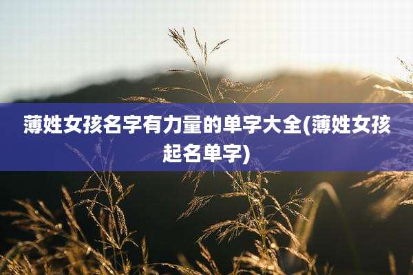 薄姓女孩名字有力量的单字大全(薄姓女孩起名单字)