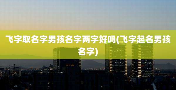 飞字取名字男孩名字两字好吗(飞字起名男孩名字)