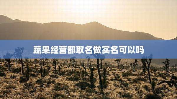 蔬果经营部取名做实名可以吗