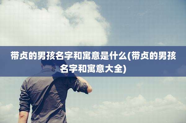 带贞的男孩名字和寓意是什么(带贞的男孩名字和寓意大全)