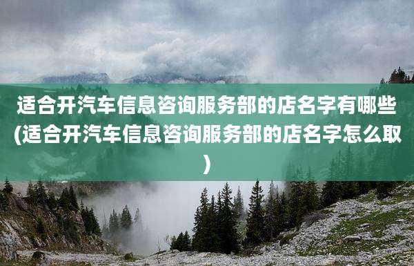 适合开汽车信息咨询服务部的店名字有哪些(适合开汽车信息咨询服务部的店名字怎么取)