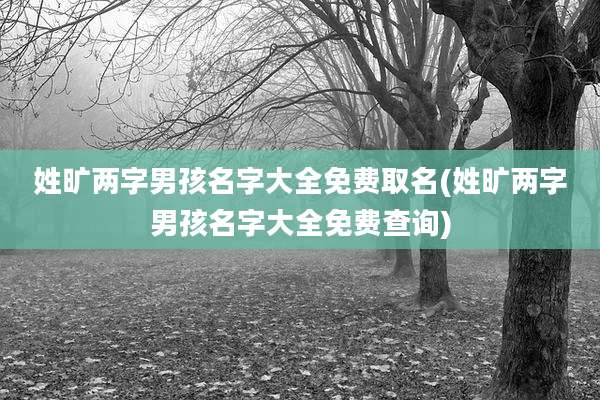 姓旷两字男孩名字大全免费取名(姓旷两字男孩名字大全免费查询)