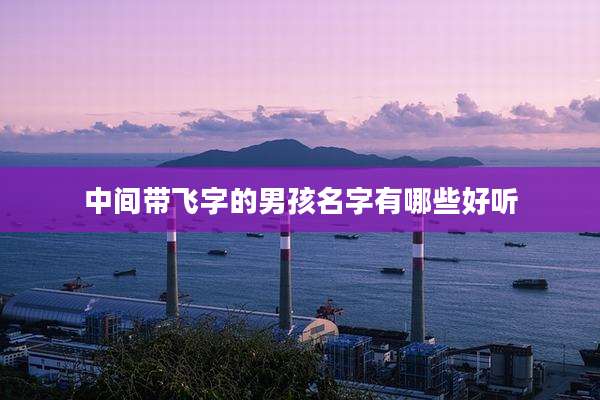 中间带飞字的男孩名字有哪些好听
