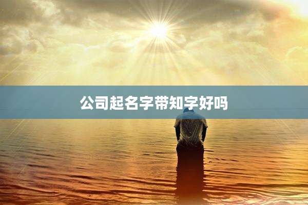 公司起名字带知字好吗