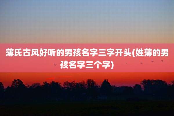 薄氏古风好听的男孩名字三字开头(姓薄的男孩名字三个字)