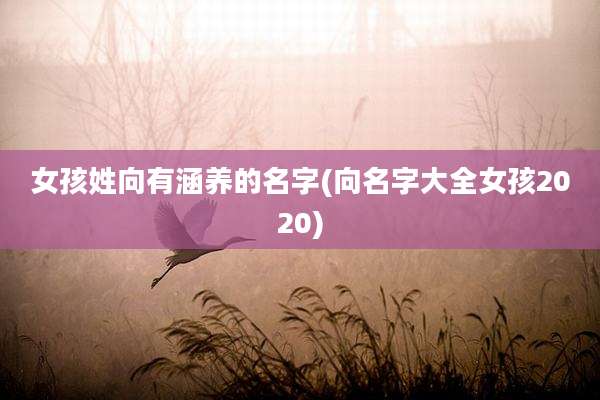 女孩姓向有涵养的名字(向名字大全女孩2020)