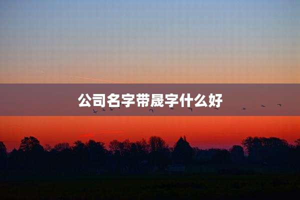 公司名字带晟字什么好