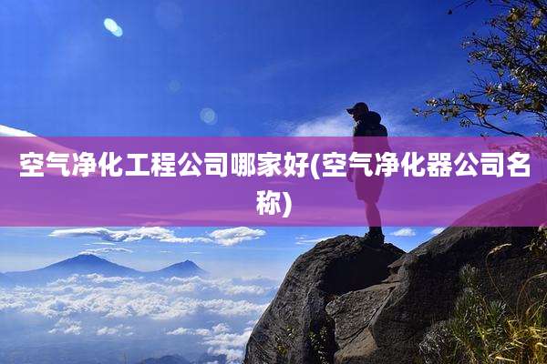 空气净化工程公司哪家好(空气净化器公司名称)