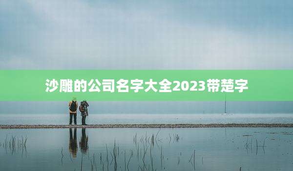 沙雕的公司名字大全2023带楚字