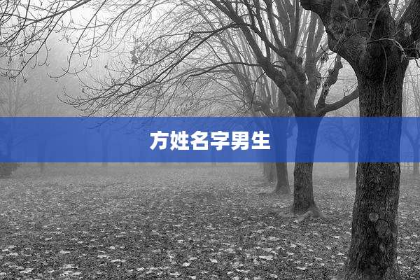 方姓名字男生