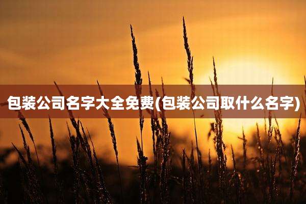 包装公司名字大全免费(包装公司取什么名字)