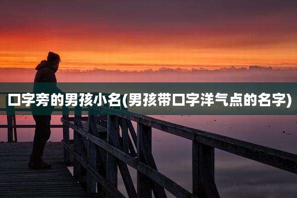 口字旁的男孩小名(男孩带口字洋气点的名字)