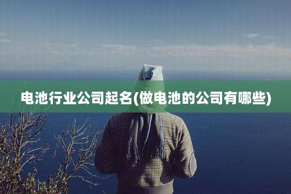 电池行业公司起名(做电池的公司有哪些)