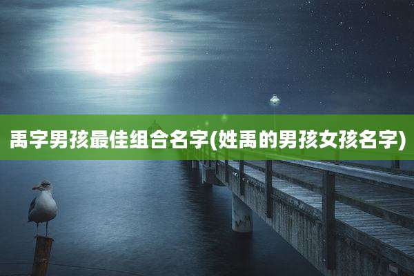 禹字男孩最佳组合名字(姓禹的男孩女孩名字)