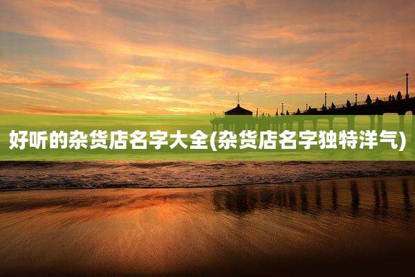 好听的杂货店名字大全(杂货店名字独特洋气)