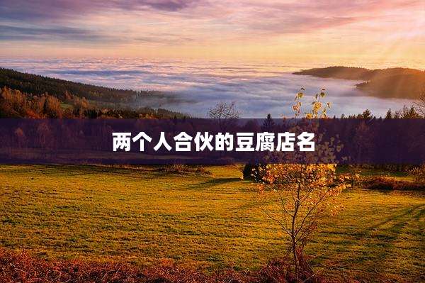 两个人合伙的豆腐店名